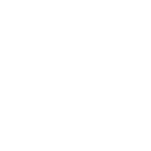 Seta